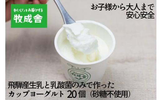 砂糖不使用 プレーンヨーグルト 20個 飛騨の牛乳屋 牧成舎 生乳100% 朝食におすすめ 無糖ヨーグルト プレーンヨーグルト 砂糖不使用 生乳 ヨーグルト 乳製品 牧成舎 DF006VC13岐阜県高山市8000