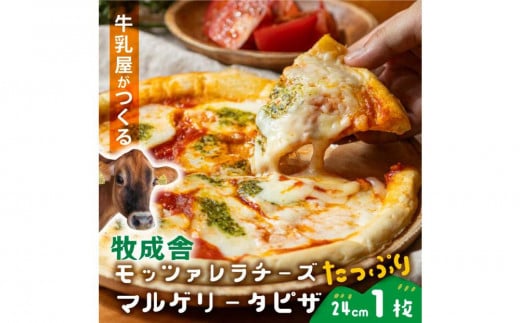 <牧成舎>飛騨の牛乳屋さんが作った こだわりの モッツァレラたっぷりマルゲリータピザ(24cm×1枚) | ピザ チーズ 手造り おいしい 電子レンジOK 簡単調理 パーティ 飛騨高山 (有)牧成舎 DF