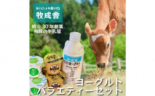 <牧成舎>飛騨の牛乳屋さんが作った こだわりの ヨーグルトバラエティー7点セット(ヨーグルト2種6個・のむヨーグルト750ml×1本)| セット 乳製品 ご当地 無添加 おいしい ヨーグルト ドリ