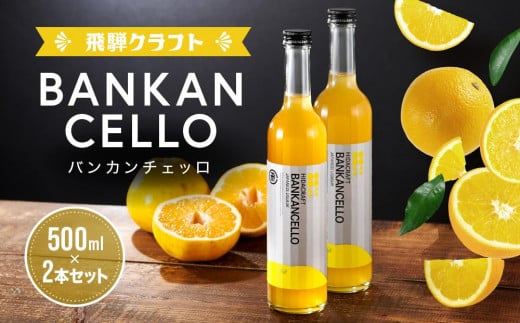 バンカンチェッロ500ml 2本セット | 和製リキュール 河内晩柑 アルコール 酒 サワー 有限会社森瓦店 MM023岐阜県高山市37000酒・アルコールウイスキー・洋酒・リキュール