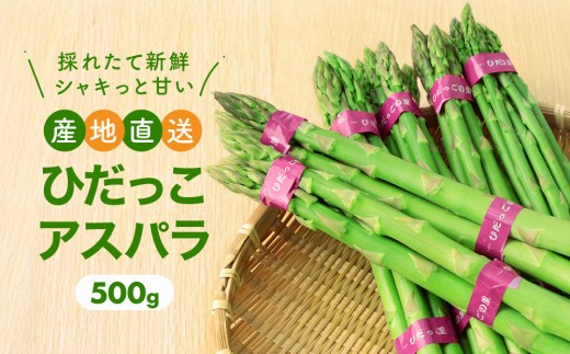 【2026年発送・先行受付】ひだっこアスパラ 500g | アスパラ アスパラガス 飛騨産 野菜 春  夏野菜  産地直送 新鮮 食品 おいしい 人気 飛騨高山 ひだっこの里 CM007岐阜県高山市5000野菜・きのこ