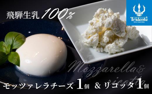 飛騨生乳100% モッツァレラ1個&リコッタ1個セット | セット チーズ 冷蔵 濃厚 低温殺菌 乳製品 おいしい 人気 チーズ工房トリデンテ LF011岐阜県高山市5000卵・乳製品チーズ