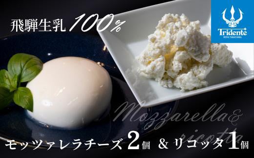 飛騨生乳100% モッツァレラ2個 & リコッタ1個セット | セット チーズ 冷蔵 濃厚 低温殺菌 乳製品 おいしい 人気 チーズ工房トリデンテ LF013岐阜県高山市8000卵・乳製品チーズ