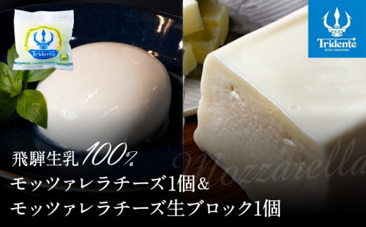 飛騨生乳100% モッツァレラ1個 &  モッツァレラチーズ生ブロック1個セット | セット チーズ 冷蔵 濃厚 低温殺菌 乳製品 おいしい 人気 チーズ工房トリデンテ LF018岐阜県高山市15000卵・乳製品