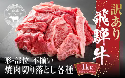 訳あり 飛騨牛 焼肉 切り落とし 1kg(500g×2パック) 冷凍真空パック | 肉 お肉 切落し 不揃い 焼肉 焼き肉 やきにく 黒毛和牛 和牛 人気 おすすめ 牛肉 ギフト お取り寄せ 飛騨高山ミート MZ036岐
