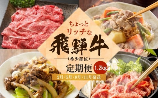 ちょっとリッチな飛騨牛(希少部位) 【2月・5月・8月・11月発送】定期便 4回 | みすじ ウデ すき焼き しゃぶしゃぶ  希少部位 和牛 国産牛 冷凍 飛騨高山 飛騨牛のこもり FC109岐阜県高山市480