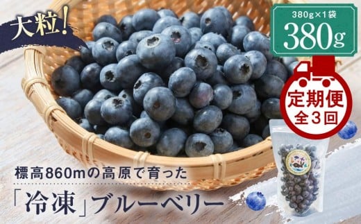 yցzt@[̖knCubVu[x[uⓀʎv380g×3 | u[x[ Ⓚ ʕ t[c lC  ˍR t@[ LJ100򕌌Rs23000ʕEt[