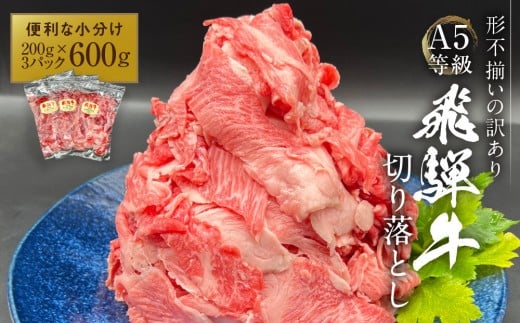 【形不揃い訳あり】A5等級飛騨牛 こま切れ 切り落とし600g(200g×3パック)| 便利なこま肉 肉じゃが 肉料理 ブランド牛 不揃い 人気 国産 お取り寄せ グルメ おすすめ 飛騨高山 岩ト屋 HF046岐