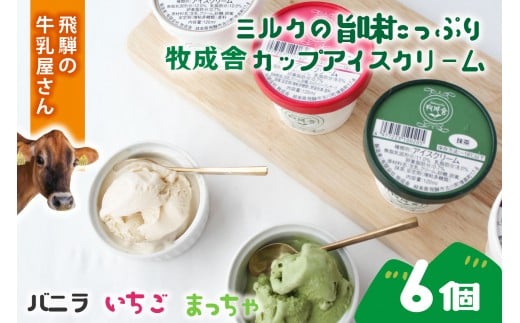 【6個セット】牧成舎のカップアイスクリーム|バニラ・抹茶・いちご 各2個(計6個)|飛騨産ミルク使用・お取り寄せ・ギフト対応可|飛騨高山 牧成舎 DF046岐阜県高山市10000菓子・スイー