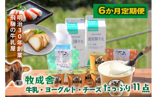 6か月定期便【飛騨乳製品バラエティセット】牛乳・ヨーグルト・チーズ詰め合わせ 11点セット|乳製品 習慣 詰合せ 家族 朝食  牧成舎 牧成舎 DF245岐阜県高山市60000卵・乳製品牛乳・乳飲料