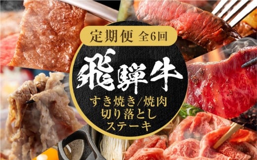 【定期便】全6回 飛騨牛 バラエティ(ステーキ /焼肉 / すき焼き/切り落とし) | 肉 お肉 黒毛和牛 和牛 個包装 小分け 牛肉 お取り寄せ 飛騨高山ミート MZ105岐阜県高山市110000肉牛肉