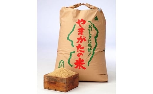 07-05-035@͂ʂ30kg[ߘa7NY]R`Vs60000āEpāEGāEāE