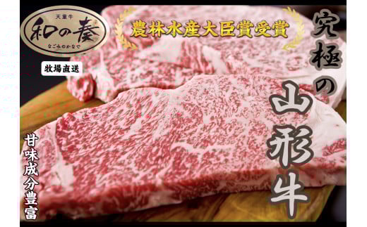 07-27-020@_ѐYb܎܁@IVȃtT[CXe[L500gR`Vs30000