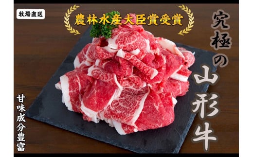 07-27-003@_ѐYb܎܁@IVȃt؂藎Ƃ500gR`Vs10000