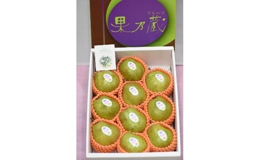 07-07-015@ʔT̃EtX3kgR`Vs10000ʕEt[c̑ ʕEt[c