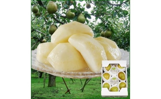 07-02-031 ラ・フランス5kg山形県天童市10000果物・フルーツその他 果物・フルーツ