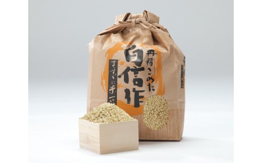 07-05-036@P10kg[ߘa7NY]R`Vs27000āEpāEGāEāE