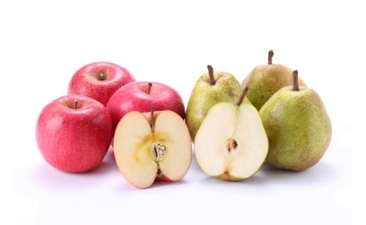 07-08-027@EtX&Tӂl3kgR`Vs10000ʕEt[c̑ ʕEt[c