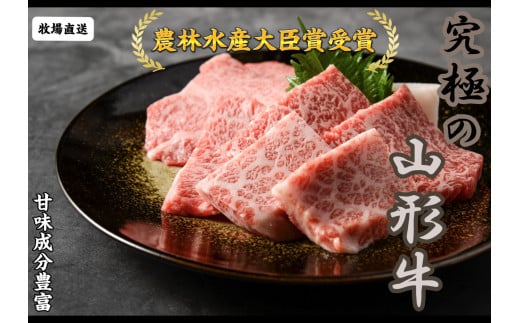 07-27-002@_ѐYb܎܁@IVȃtēؗ400R`Vs10000