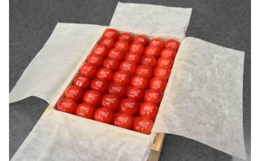 08-10-034@(gG)G@2L@300g@˔苾lߎR`Vs35000ʕEt[c