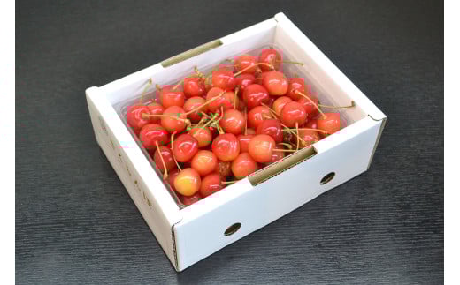 08-10-025@(i킨܂)@2L@500gR`Vs15000ʕEt[c