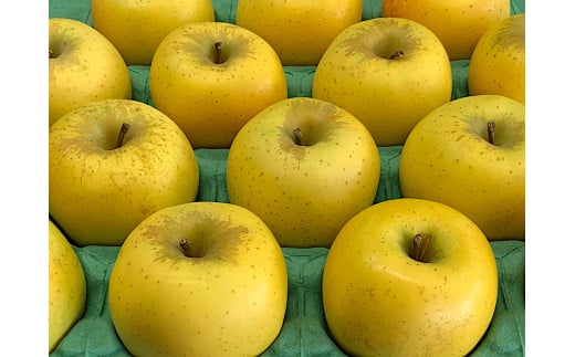 07-08-036@񂲁iVimS[hj3kgR`Vs10000ʕEt[c񂲁E