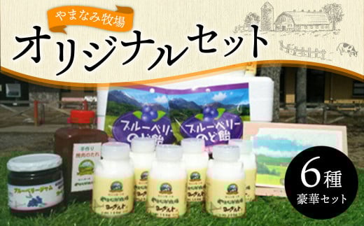 やまなみ牧場 オリジナルセット 飲むヨーグルト ブルーベリー 焼肉のタレ大分県九重町28000卵・乳製品ヨーグルト