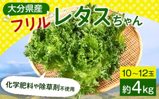 大分県産 フリルレタスちゃん 約4kg (10〜12玉) 高原野菜 レタス大分県九重町14000野菜・きのこその他 野菜