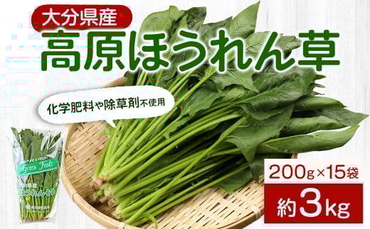 大分県産 高原 ほうれん草 3kg (200g×15袋) 高原野菜大分県九重町10000野菜・きのこその他 野菜