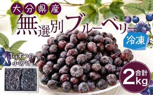 大分県産 無選別ブルーベリー 計2kg(1kg×2) ブルーベリー 栽培期間中 農薬不使用大分県九重町10000果物・フルーツその他 果物・フルーツ