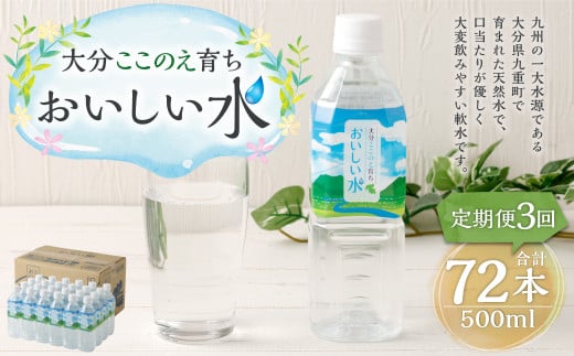 y3ցz啪 ̂炿   500ml×24{ v72{啪d29000EE~lEH[^[