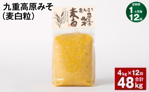 【1ヶ月毎12回定期】 九重高原みそ (麦白粒) 1kg?4袋 計48kg (4kg?12回) 麦みそ 味噌 白色系大分県九重町164000調味料・油味噌