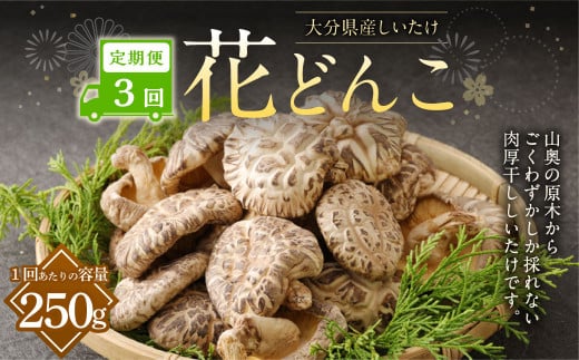 y3ցz啪YԂǂ 250g v750g ő   ő ő  ؂ǂ Ԃǂ 啪 d啪d148000E