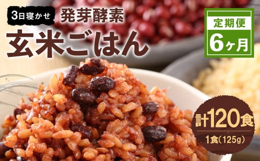 【6ヶ月定期便】 レンジ対応! 3日寝かせ 発芽酵素 玄米ごはん (ひとめぼれ) 20食分 × 6回 【常温】 玄米 大分県産大分県九重町174000米・パン玄米・雑穀米・もち米・餅