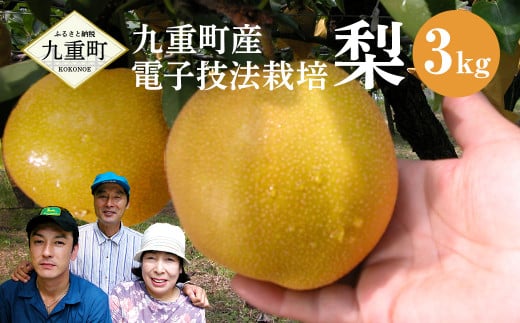九重町産 電子技法栽培 梨 3kg 果物 大分県産 (二十世紀・豊水・あきづき・新高・新興 いずれか一種)  【2025年9月上旬-12月上旬発送予定】大分県九重町10000果物・フルーツりんご・梨