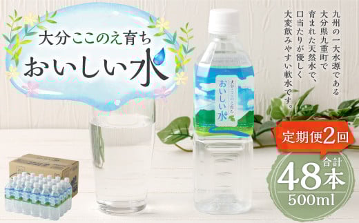 【2ヶ月定期便】大分 ここのえ育ち おいしい 水 500ml×24本 合計48本大分県九重町19000お茶・飲料水・ミネラルウォーター