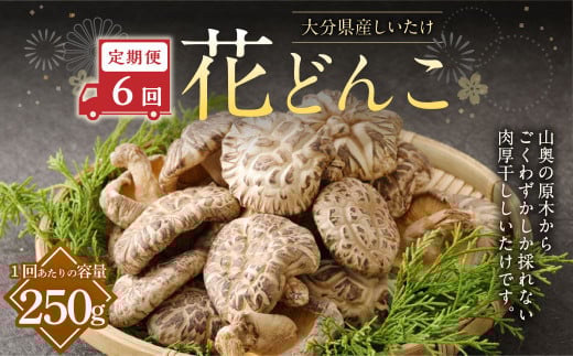 【6ヶ月定期便】大分産しいたけ花どんこ 250g 合計1,500g 乾燥椎茸 乾燥 しいたけ 干し椎茸 乾し椎茸 乾燥野菜 原木どんこ 花どんこ 大分県 九重町大分県九重町295000調味料・油だし