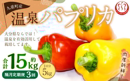 【隔月3回定期便】 大分県 九重町産 温泉パプリカ 計約15kg(約5kg×3回) パプリカ 野菜 やさい大分県九重町55000野菜・きのこその他 野菜