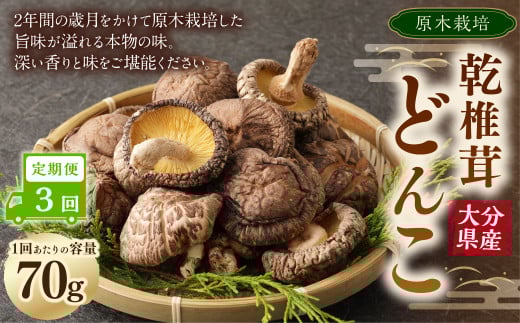 y3ցz啪Y؊őǂ 70g v210g ő   ő ő  ؂ǂ 啪 d啪d45000E