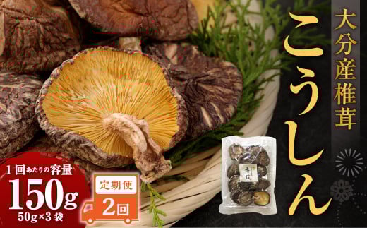 y2ցz啪Yő 150g i50g×3܁jv300g 6 ő   ő ő  ؂ 啪 d啪d30000E