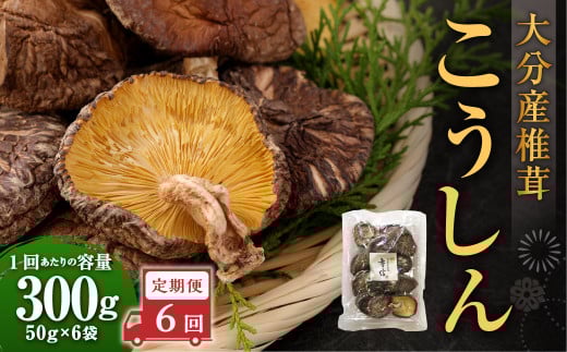 y6ցz啪Yő 300gi50g×6܁jv1,800g 36 ő   ő ő  ؂ 啪 d啪d177000E