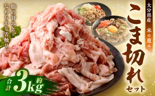 大容量 こま切れ 約3kg (約200g×15パック)セット 大分県産豚肉【米の恵み】 小間切れ 肉 【2025年11月上旬順次発送開始予定】大分県九重町22000肉豚肉