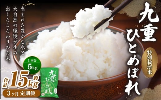 y3ցz d ЂƂ߂ڂ 5kg×3 v15kg   R    ͂ 퉷 Y啪d62000āEp