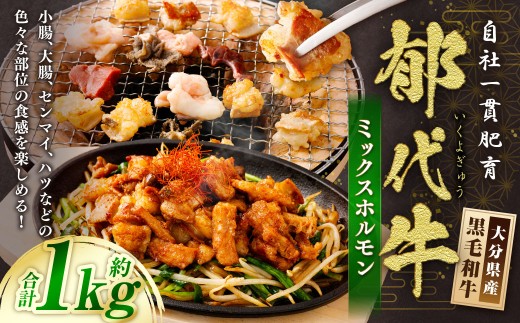 自社一貫肥育・郁代牛ミックスホルモン(大分県産黒毛和牛) 約1kg ミックスホルモン 牛ホルモン 肉 お肉 ホルモン大分県九重町20000肉牛肉