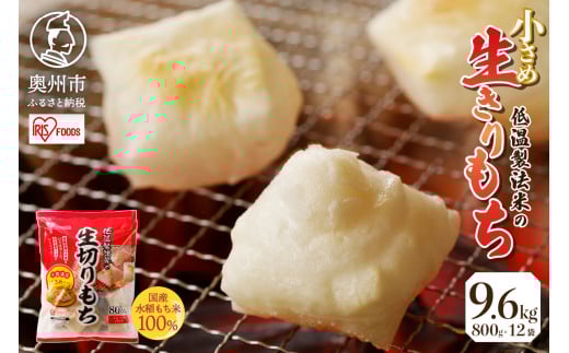 ቷ@Ă̐ n[tJbgTCY 800g × 12 i9.6kgj ACXI[} Y100gp ؂   VN  [AV006]茧Bs28500āEpāEGāE