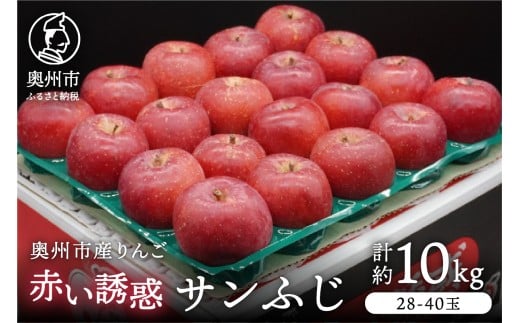 BsY ԂUfuTӂv10kg 28-40 Di t[c ʕ 1 Ԍ ʌ [AQ080]茧Bs35000ʕEt[c񂲁E