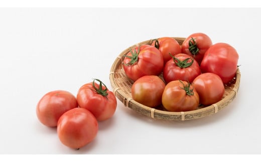 いとうさんちのこだわりとまと(8パック)茨城県鉾田市17500野菜・きのこトマト