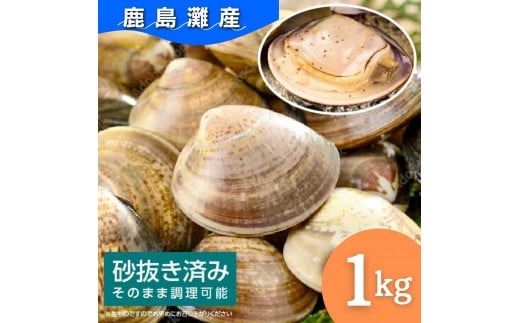 全国屈指の水揚げ!はまぐり 《鹿島灘産》砂抜き済(1kg)茨城県鉾田市13500魚介・海産物貝類