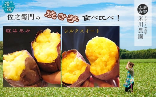 米川農園  佐之衛門 の 焼き芋 食べ比べセット【 紅はるか (400g×2袋)×シルクスイート(400g×2袋)】 計1600g 冷凍 焼きいも 1.6kg 食べ比べ  国産茨城県鉾田市13500野菜・きのこじゃがいも・