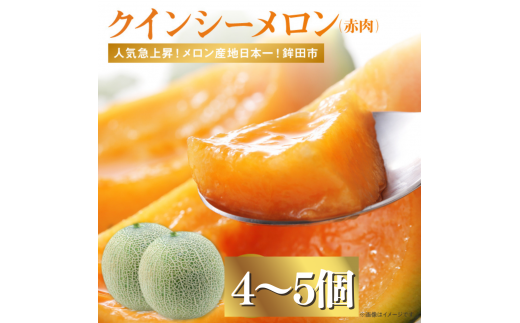 ԓINCV[(4`5j錧gcs25500ʕEt[cEXCJ